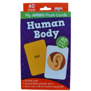 40-Piece Human Body Learning Flash Cards Set