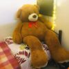 Pre Loved Huge Teddy Bear