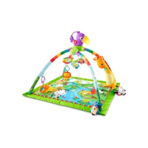 Fisher Price infant gym